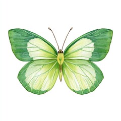 Fototapeta premium Vibrant Green Butterfly Watercolor Painting, Delicate Wings, Tranquil Nature Scene