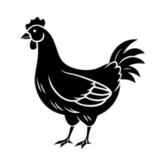 Fototapeta premium Domestic hen, Gallus gallus domesticus, black silhouette. Hen illustration perfect for farm logos, poultry packaging, and cookbook designs. This hen image is suitable for agricultural branding,