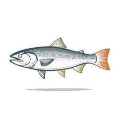 Elegant trout illustration on dark background graphic aquatic design river fish freshwater animal drawing nature seafood cuisine badge