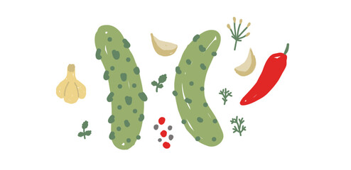 Hand-drawn illustration pickling cucumbers with garlic, chili pepper, dill, peppercorns, and herbs on white background. Vegetable and preserving ingredients concept