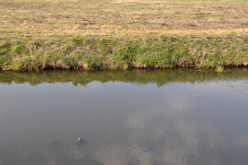 pond lake full of water autumn dry grass on the shore
