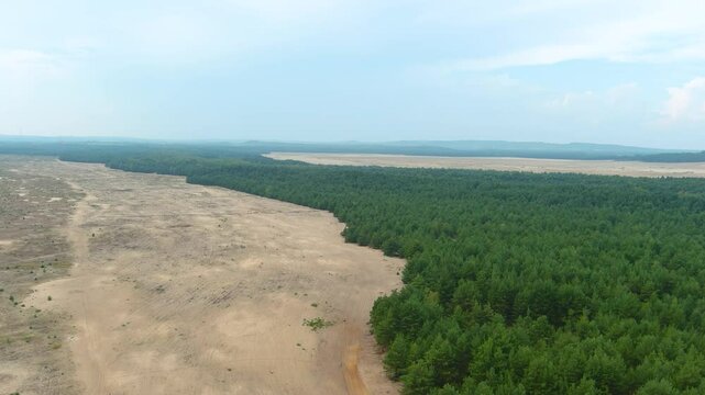Bledowska Desert aka Polish Sahara aka Pustynia Bledowska. The only desert in Poland and the largest inland area of loose sand in Europe. Silesian Highlands in the Lesser Poland Voivodeship.