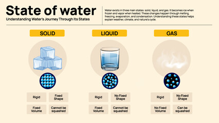 States of Matter Infographic - Solid, Liquid, and Gas Explained for Students