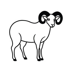 vector image of a sheep