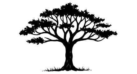 Obraz premium Tranquil Tree Silhouette: A captivating silhouette of a majestic tree, its intricate branches reaching towards the sky. This image evokes a sense of peace, tranquility.