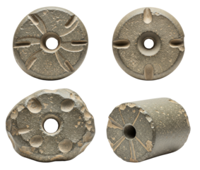 Neolithic artifact with various shapes and textures on transparent background  
