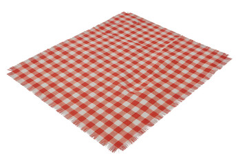 A Red and White Gingham Tablecloth