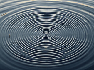 Concentric Water Ripples Abstract Nature Photography