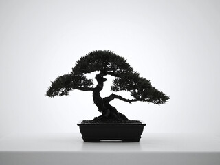 Serene Silhouette A Black and White Bonsai Tree Photograph