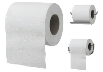 White toilet paper rolls on stainless steel holders.