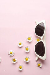 Sunglasses on a plain background. Summer, chamomile