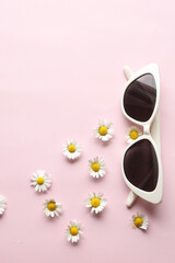 Sunglasses on a plain background. Summer, chamomile