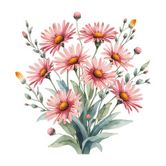 Obraz premium Blooming Pink Flowers Watercolor Style Artwork on transparent background
