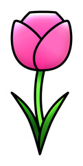 Vector illustration of a pink tulip flower