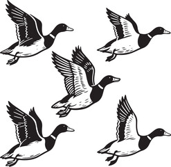 Five mallard ducks flying in formation silhouette style