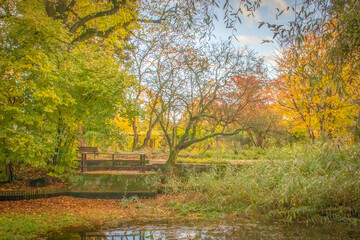 Beautiful autumn park landscape with colorful trees and water geese flying overhead