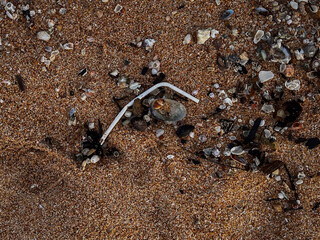 beach polluted with plastic waste.environmental problems of humanity