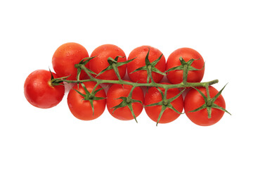 Cherry tomato branch isolated on white background.