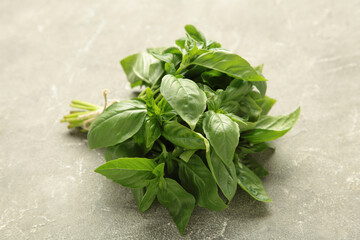 Branch fresh basil on grey concrete background.