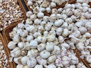 Fresh Garlic Bulbs in Baskets Selling in The Market 