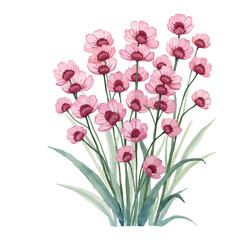 Pink Flower Arrangement on transparent background