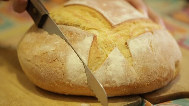 P&atilde;o italiano redondo sendo cortado por m&atilde;os femininas usando uma faca de serra em camera lenta ou slow motion.