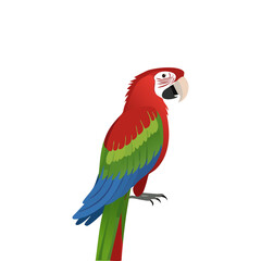Fototapeta premium red and yellow macaw