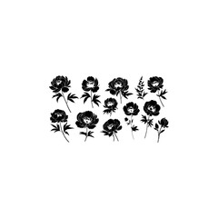 Spring flowers hand drawn vector set. Black brush flower silhouettes. Ink drawing wild plants, herbs or flowers, monochrome botanical illustration. 