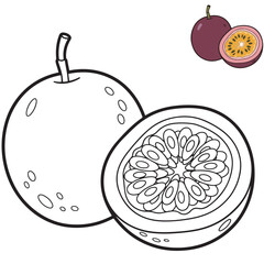 Passion Fruit Coloring Page Fun Printable for Kids and Adults