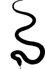 black snake vector illustration