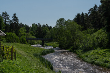 river in the forest