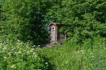 toilet in the woods