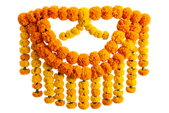 Garland of Marigold Flowers with Hanging Loops, Festive Style, isolated on a transparent background