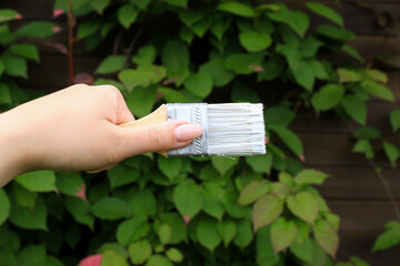 Construction brush with white paint on a wooden background. There are green leaves of plants on the...