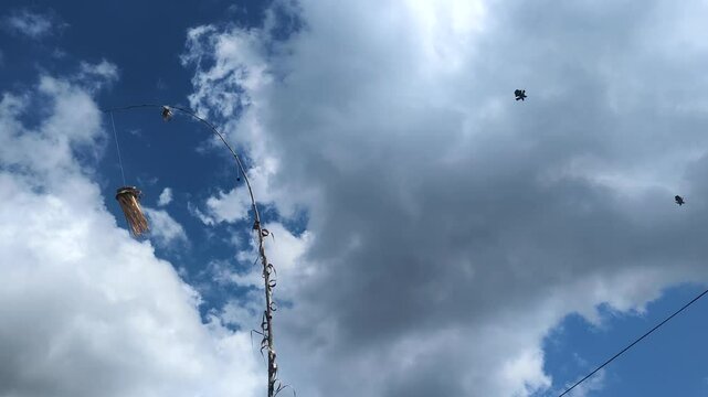 Balinese penjor religious decoration for Galungan and Kuningan holiday with flying kites on tropical island Bali Indonesia