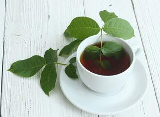 Herbal tea from fresh walnut leaves on white table.  A cup of walnut leaf infusion, traditional...