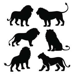 Lion Silhouettes in Various Poses Standing Sitting and Walking with Mane Detail