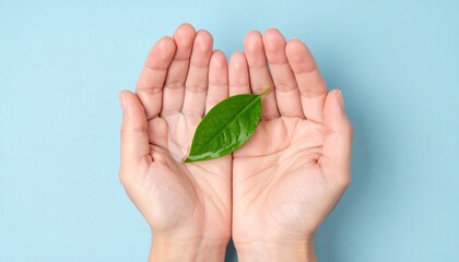 Hands delicately cradling a vibrant green leaf, symbolizing nature and environmental protection. The hands gently hold the leaf against a calming blue backdrop, creating a harmonious visual