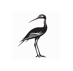 Curlew Bird Image Vector. Black and white Curlew Bird Image Vector Isolated on white background.