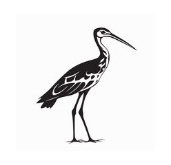 Curlew Bird Image Vector. Black and white Curlew Bird Image Vector Isolated on white background.