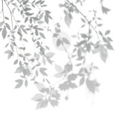 shadow overlay effect. Gray shadow of leaves isolated on white background. Plant foliage leaf shadow light effect. Mockup Blurred tree branch shadow. Ideal for summer spring design elements PNG