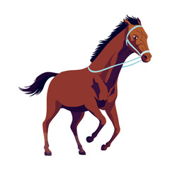 A detailed vector drawing depicting a brown horse adorned with a bridle