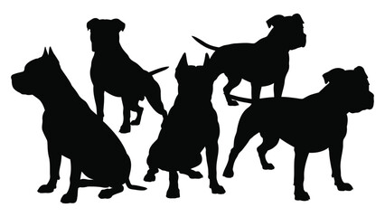set of Pitbull dog silhouettes in various poses, vector collection