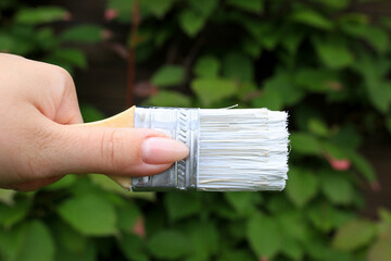 Construction brush with white paint on a wooden background. There are green leaves of plants on the...