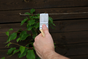Construction brush with white paint on a wooden background. There are green leaves of plants on the...