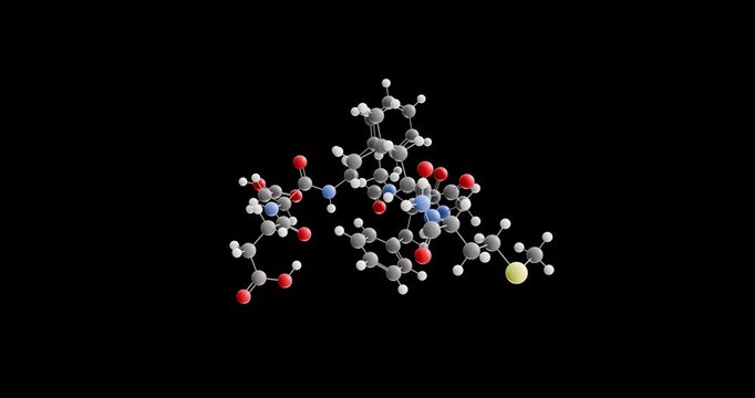 Senktide molecule, rotating 3D model of tachykinin nk3 receptor agonist, looped video on a black background
