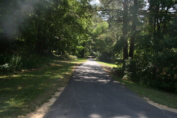 Walk in the woods