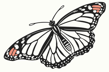 Boho Butterfly – Watercolor Clipart PNG