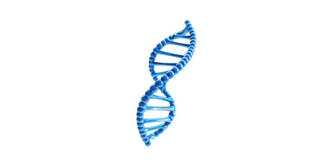 Blue Dna Double Helix Model. Genetic Research And Biotechnology Concept Isolated On Transparent Background