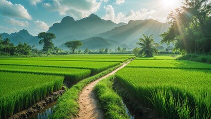 Fototapeta premium landscape with green field and mountains in the morning